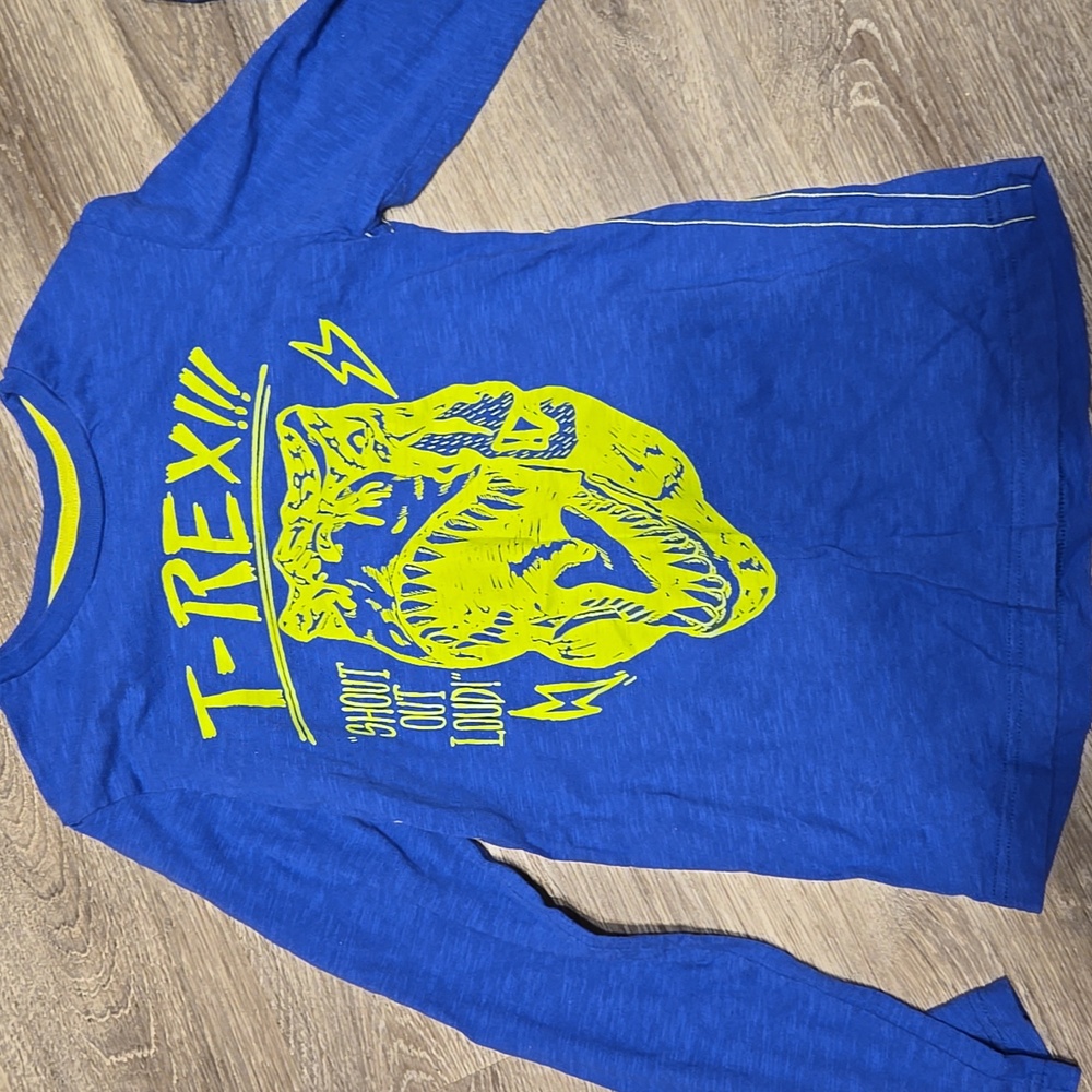 Lot Of 2 LS Blue Graphic Tees Sz XL/12 - Picture 2 of 5